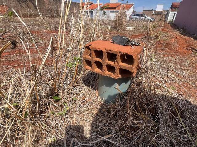 #412 - Terreno para Venda em Monte Carmelo - MG - 3